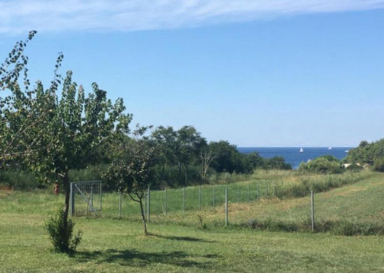 Jabuka Lägenhet Banjole Exteriör bild